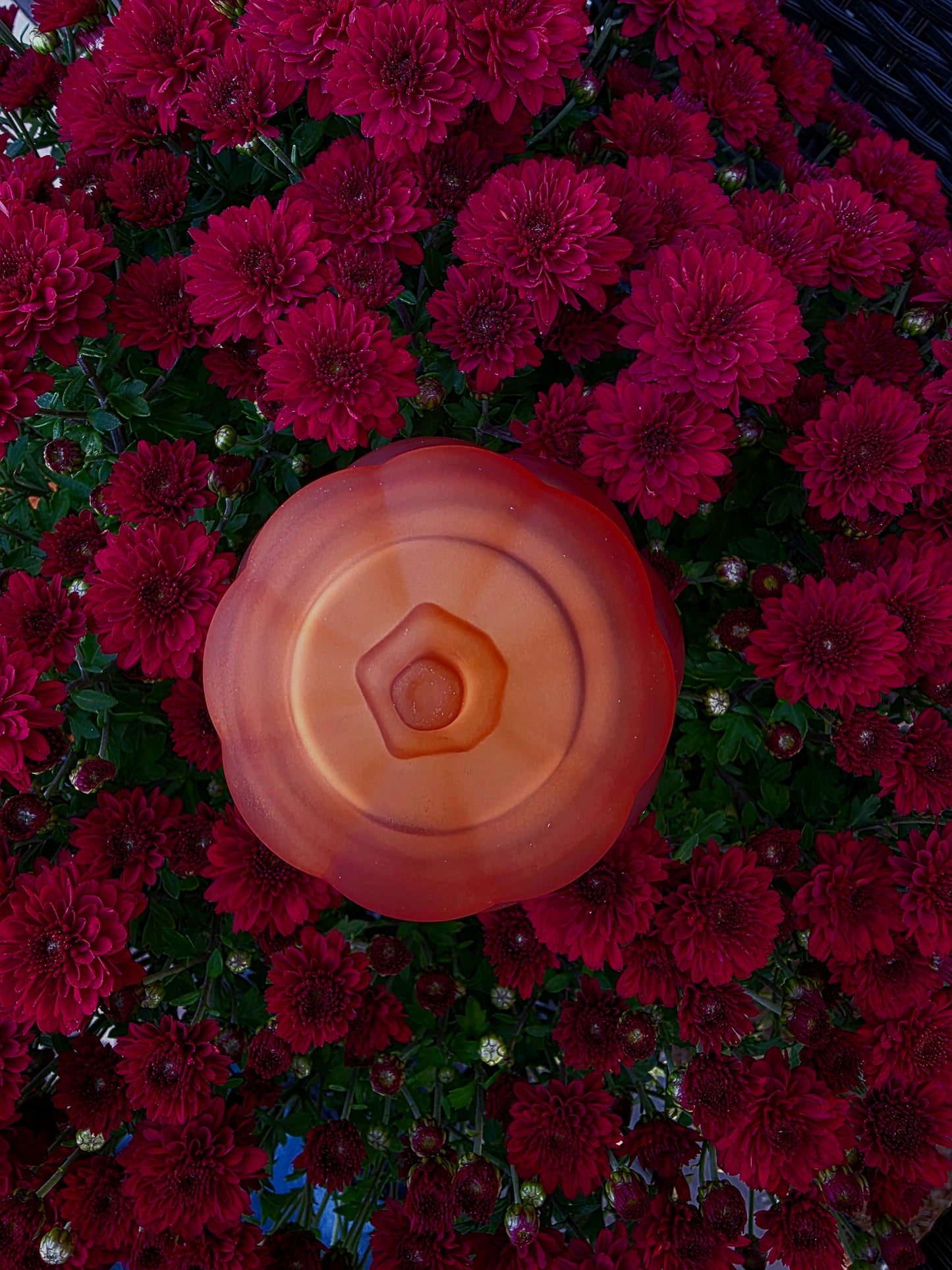 Pumpkin Pie Spice Candle *Limited Edition*