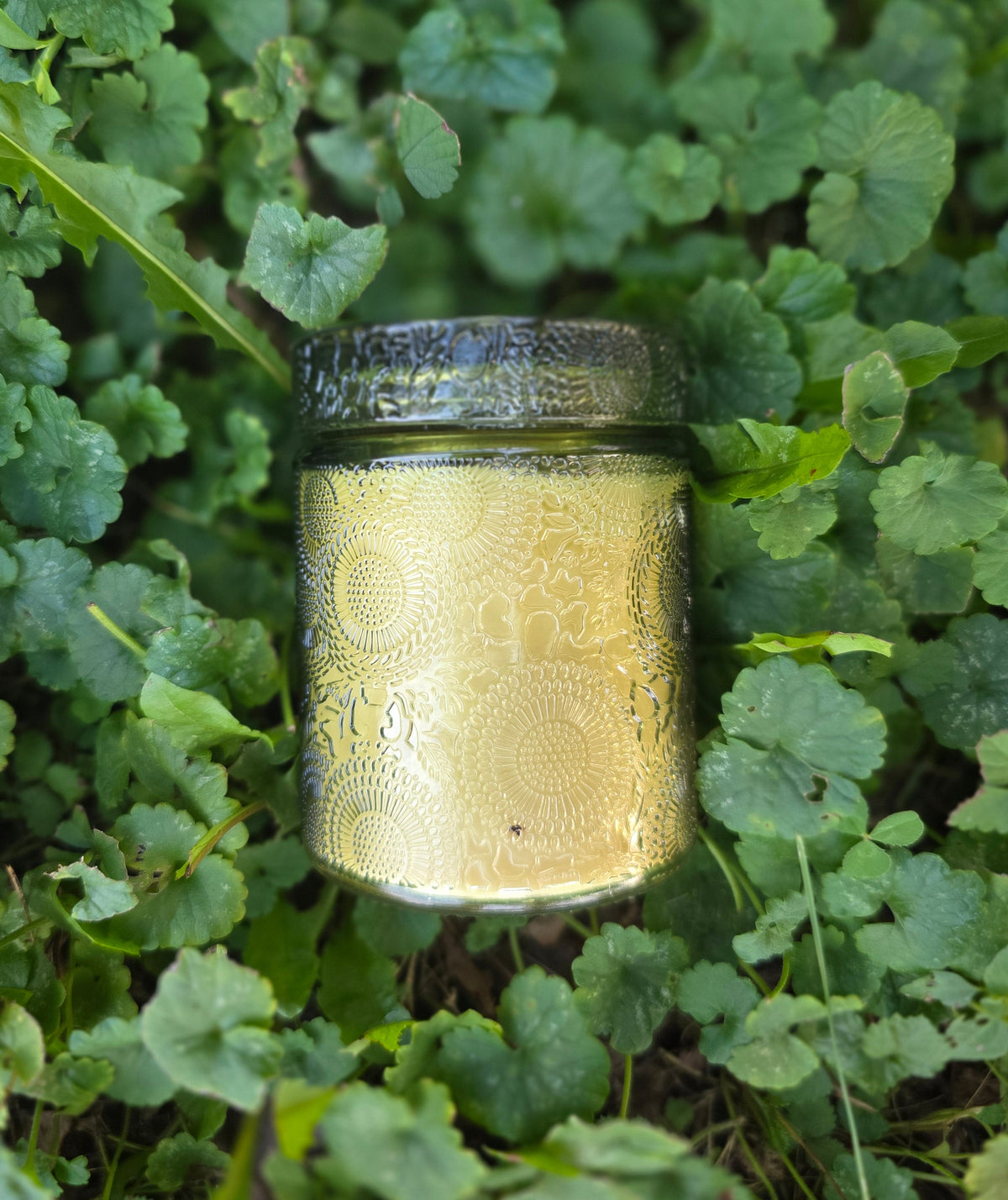 Lemongrass scented non-toxic candle in green glass jar 