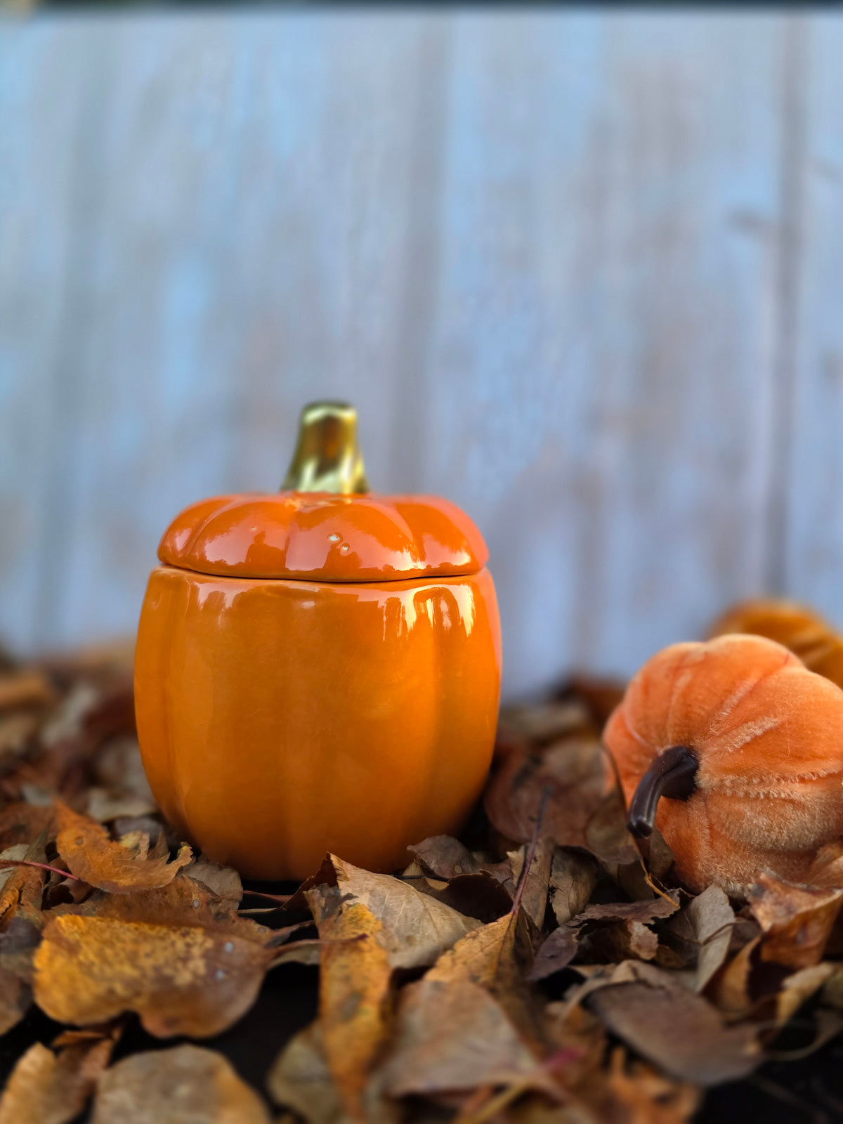 Pumpkin Pie Spice Candle *Limited Edition*