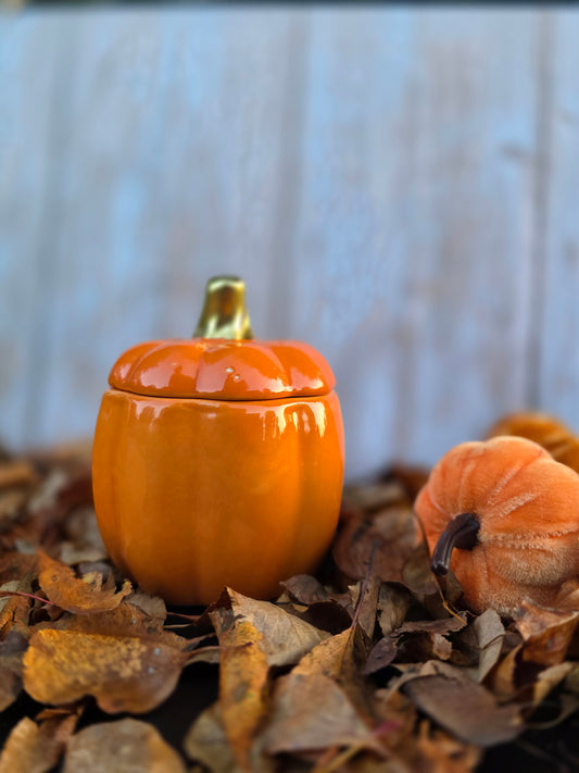 Pumpkin Pie Spice Candle *Limited Edition*